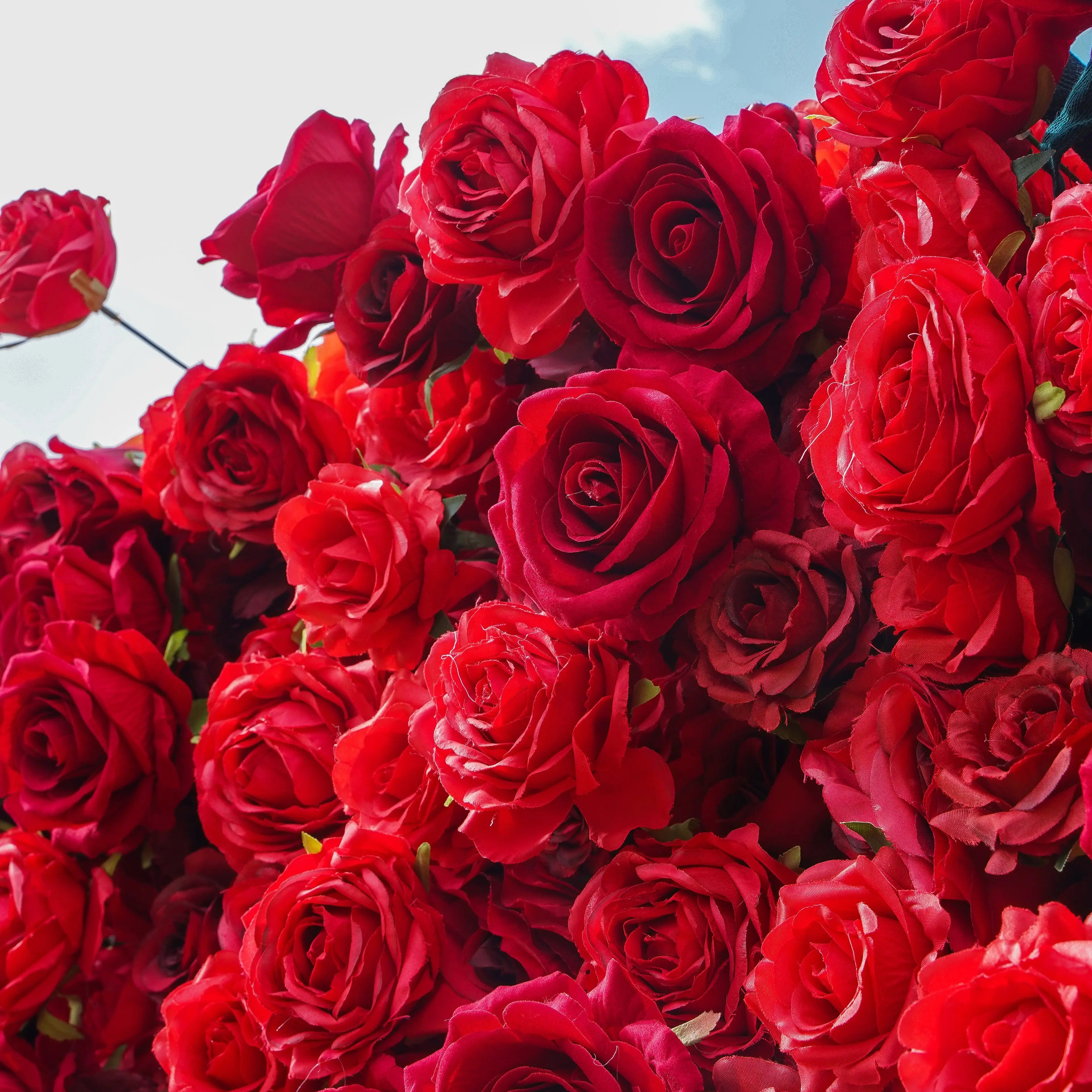 4D Roll-Up Artificial Silk Flower Wall丨A012