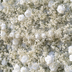 3D Roll-Up Artificial Silk Flower Wall丨A003