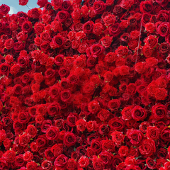 4D Roll-Up Artificial Silk Flower Wall丨A012