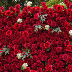 3D Roll-Up Artificial Silk Flower Wall丨A005